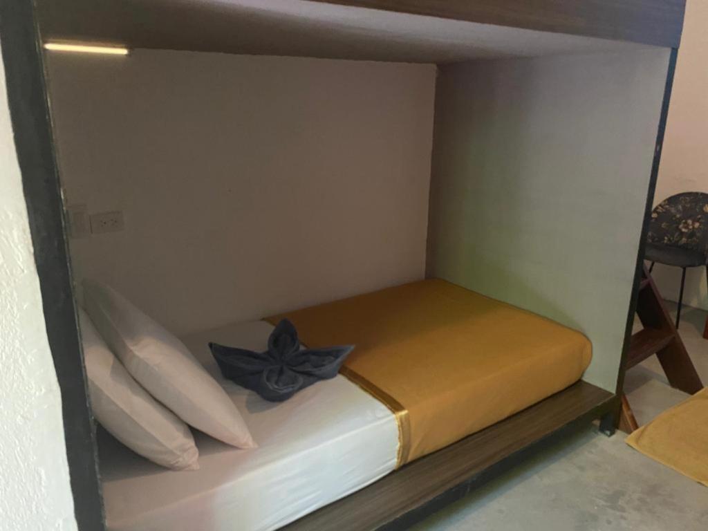 Lexias Hostel And Workspace - Siargao Catangnan Bagian luar foto